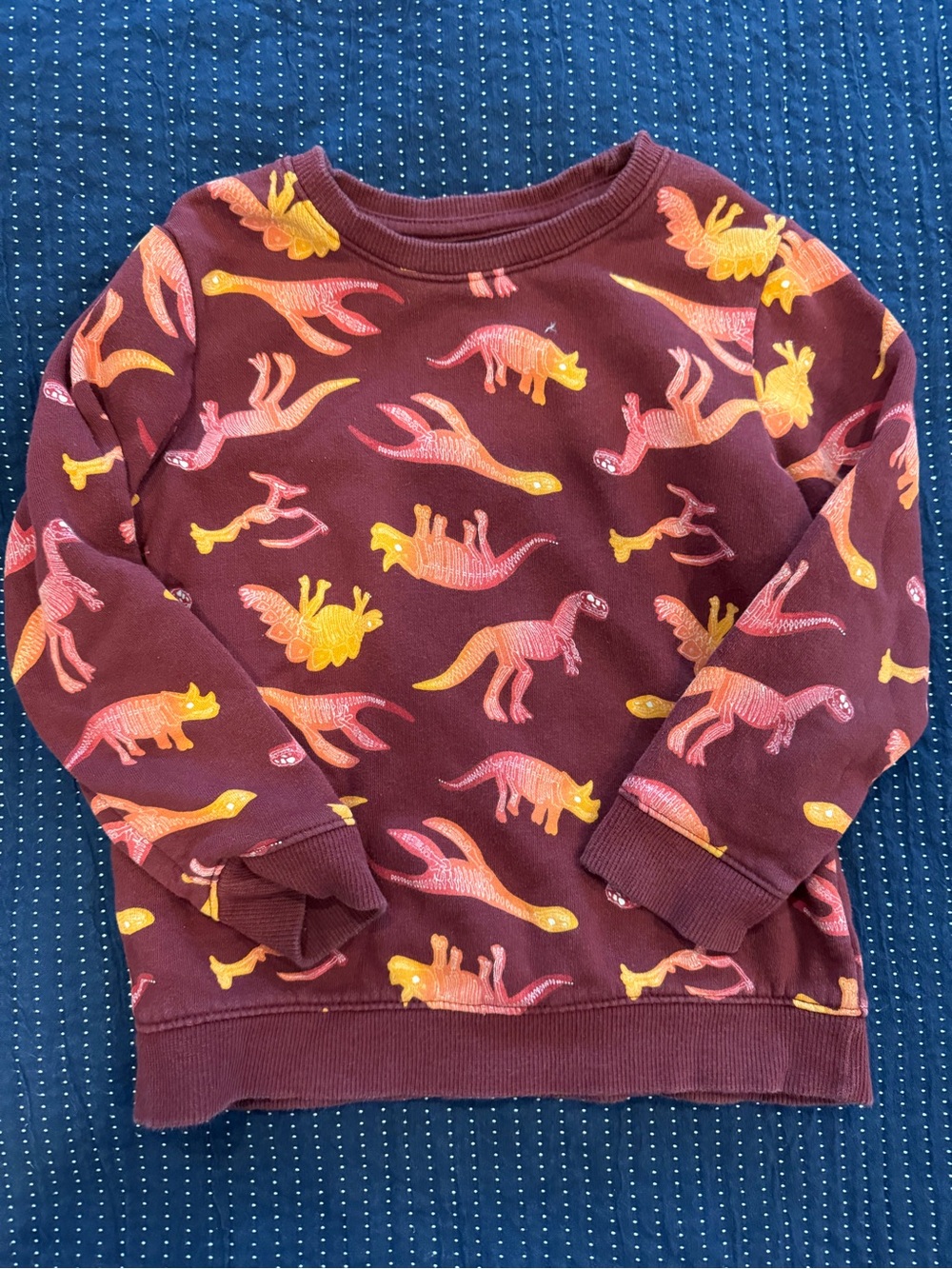 Kids Maroon Dinosaur Print Sweatshirt